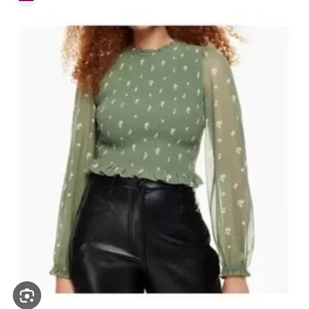 Aritzia Green Floral Sheer Sleeve Top